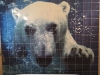 Polar Bear in Bathroom
